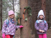 /album/a20-12-vanocni-les/vanocni-les-5-jpg/